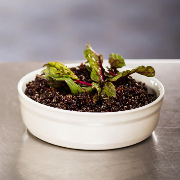 Crème Brûlée Ramekin 13cm - Clay