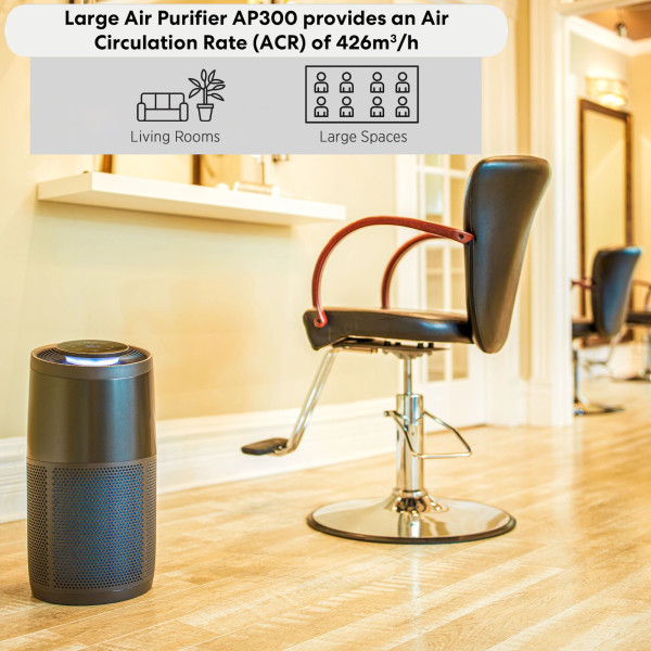 AP300 Air Purifier Large