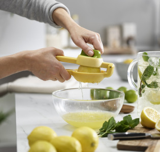 Juicemax Citrus Press