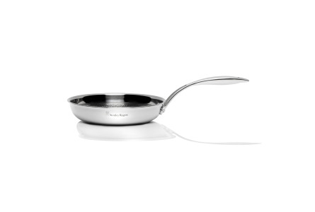 Matrix Stainless Steel Frypan 20cm