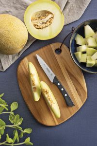 Solutta Utility Knife 10.2cm