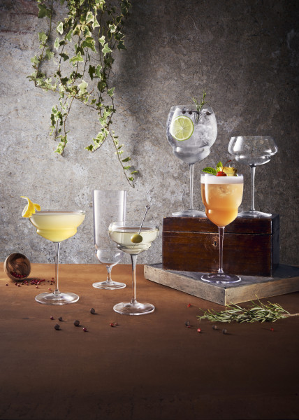 Backdoor20s Gin & Tonic 800ml - Set 4