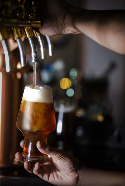 CraftMhan Beer 565ml