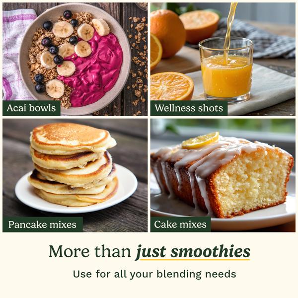 Blast and Go Portable Blender (PBL100)