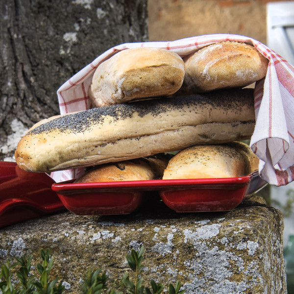 Ciabatta Bread Baker - Burgundy