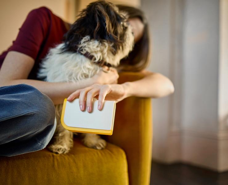 CleanTech™ 3-in-1 Pet Hair Cleaning Tool