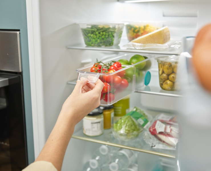 FridgeStore Small Storage