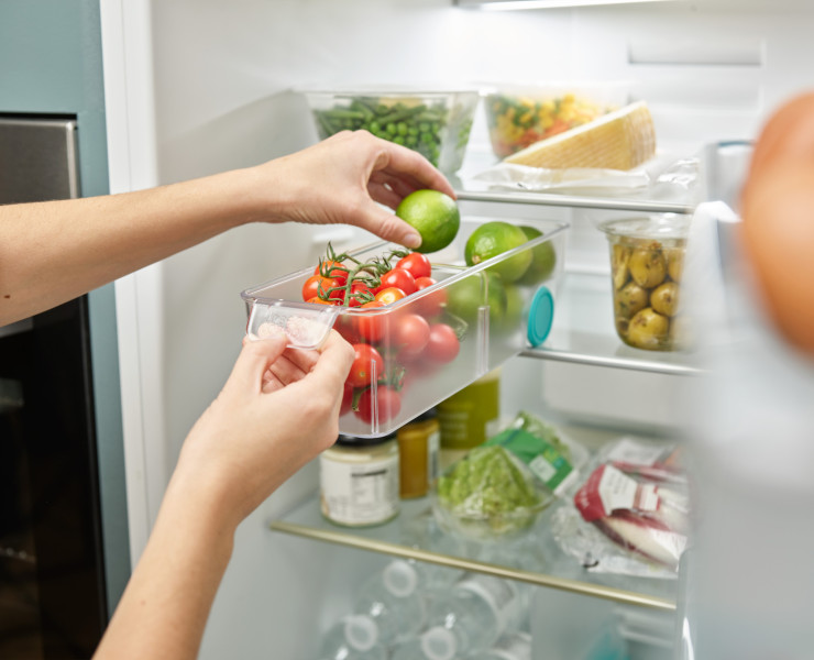 FridgeStore Small Storage