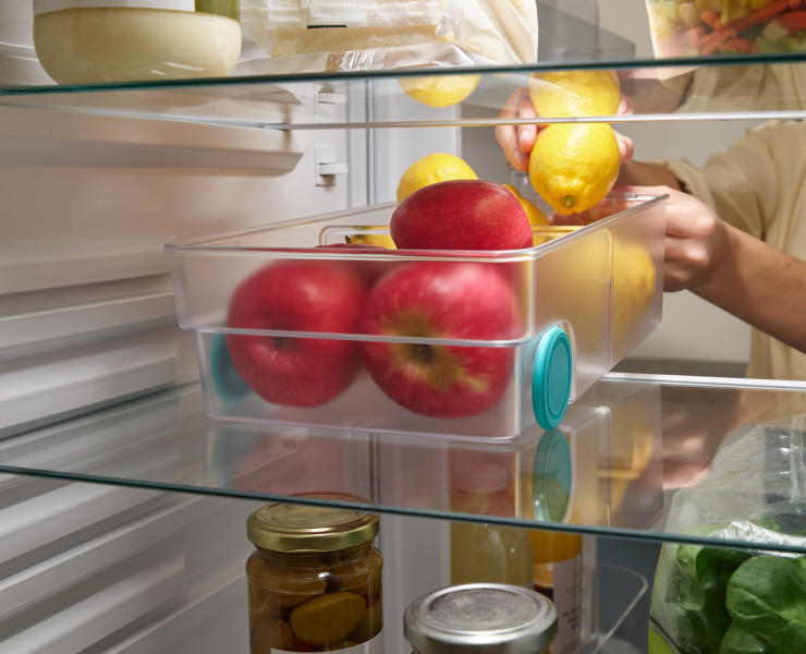 FridgeStore Large Storage