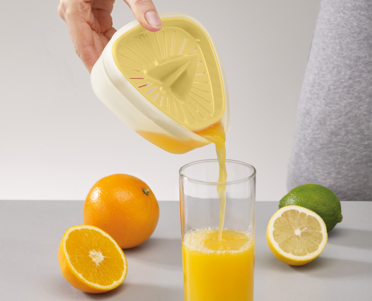 Juicer with reversible lid
