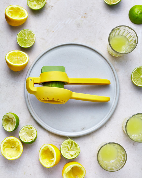 Juicemax Citrus Press