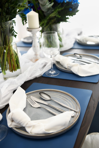 12 Pack Princess Table Knife