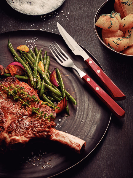 Churrasco Spanish Steak Cutlery 12 Piece Set - Red
