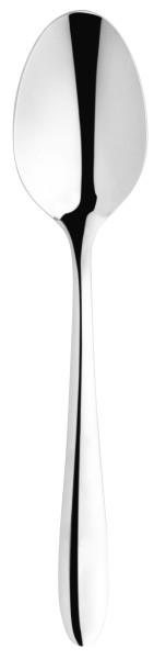 Salisbury Dessert Spoon 18/10