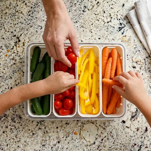 Fridge Storage 4 Compartments